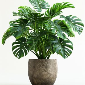 Próximamente product 01